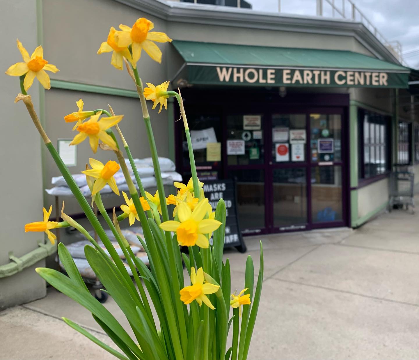 Whole Earth Center Princeton 门店外观（2022年）